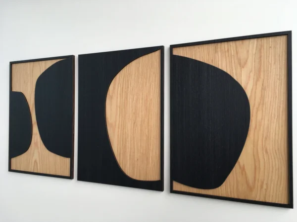 Shadows & Wood Tableau - T12 - Image 3